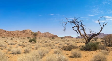 Explore Namibia: A Land of Wonders