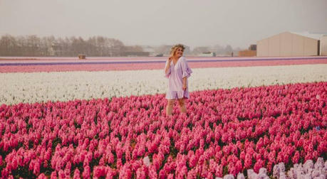 Global Flower Destinations: A Visual Feast You Can't Resist